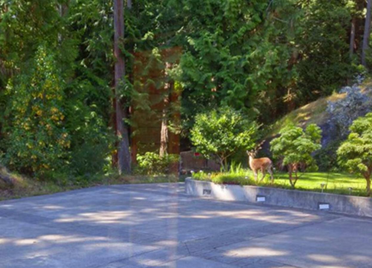 Sunshine Coast Treetop B&B Sechelt Exterior foto